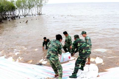 Các chiến sỹ sử dụng bao cát để gia cố chân đê biển Gò Công, tỉnh Tiền Giang năm 2018. (Ảnh: Nam Thái/TTXVN)
