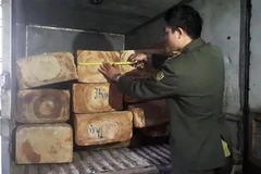 Công an huyện Sa Pa khởi tố 5 đối tượng tấn công kiểm lâm