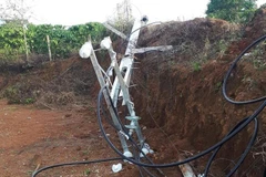 Lâm Đồng: Một thợ điện tử vong do cột điện gãy đè trúng