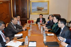 (Ảnh: Trọng Đức/TTXVN)