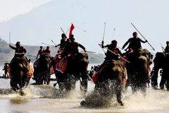 Dưới sự điều khiển của nài voi, các voi ganh đua quyết liệt. (Ảnh: Dương Giang/TTXVN)