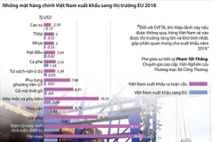 [Infographics] Những mặt hàng chính Việt Nam xuất khẩu sang EU