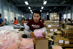 Một nhân viên sắp xếp các lá phiếu trước cuộc tổng tuyển cử vòng một diễn ra ngày 16/6, tại Guatemala. (Nguồn: Reuters)