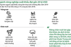 [Infographics] Ngành nông nghiệp xuất khẩu đạt gần 20 tỷ USD