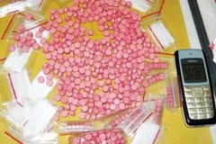 Bắt giữ 2 đối tượng vận chuyển, mua bán gần 4kg ma túy đá