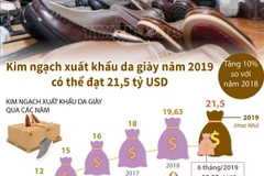 Kim ngạch xuất khẩu da giày năm 2019 có thể đạt 21,5 tỷ USD