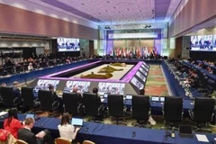 Các bộ trưởng năng lượng và môi trường của Nhóm G20 tại cuộc họp ở Karuizawa, Nhật Bản, ngày 15/6. (Ảnh: Kyodo/TTXVN)