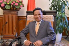 Phó giáo sư-tiến sỹ Nguyễn Hồng Thao. (Ảnh: TTXVN/phát)