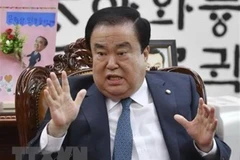 Chủ tịch Quốc hội Hàn Quốc Moon Hee-sang. (Nguồn: Kyodo/TTXVN)