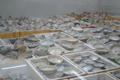 Trưng bày hiện vật từ 9 tàu cổ đắm trên vùng biển Việt Nam