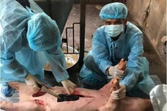 Cơ quan chức năng lấy mẫu xét nghiệm. (Ảnh: Thanh Bình/TTXVN)