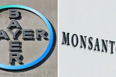 Biểu tượng tập đoàn Bayer (trái) và công ty con Monsanto - bên phải. (Ảnh: AFP/TTXVN)