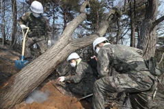 Binh sĩ Hàn Quốc nỗ lực dập các đám cháy tại thị trấn biên giới Goseong ngày 5/4. (Nguồn: YONHAP/TTXVN)