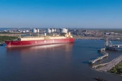 Ảnh chỉ minh họa. (Nguồn: lngworldnews)