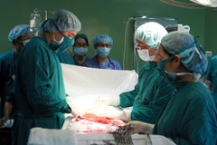 (Ảnh minh họa: Phương Vy/TTXVN)