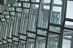 Ảnh minh họa. (Nguồn: Flickr)