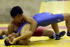 Khai mạc Giải vô địch vật cổ điển, vật tự do toàn quốc