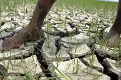 Ảnh minh họa. (Nguồn: repeatingislands.com)