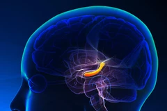 Ảnh minh họa. (Nguồn: medscape.com)