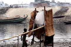  Một tỷ người trên thế giới không sử dụng nhà vệ sinh