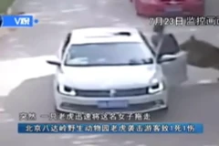 Khoảng khắc người phụ nữ bị con hổ tấn công.