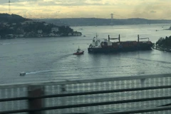 Tàu chở hàng treo cờ Liberia đã đâm vào bờ tại eo biển Bosphorus của Thổ Nhĩ Kỳ. (Nguồn: hurriyetdailynews.com) 