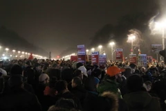 Phong trào PEGIDA lên kế hoạch biểu tình ở Anh vào ngày 28/2