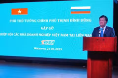 Phó Thủ tướng Trịnh Đình Dũng đưa ra các yêu cầu và nhiệm vụ với các doanh nghiệp trong nước và Liên bang Nga. (Ảnh: Tâm Hằng/TTXVN) 