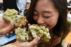 Ảnh minh họa. (Nguồn: AFP) 