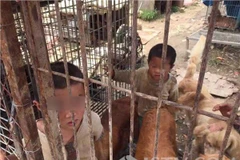 Hai anh em trong chuồng nuôi chó. (Nguồn: QQ)