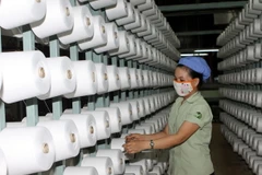 (Ảnh minh họa: Trọng Đức/TTXVN)