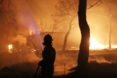 Trong số những người bị thương có 16 trẻ em. (Nguồn: AP)