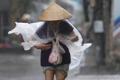 (Ảnh minh họa: Lê Minh Sơn/Vietnam+)