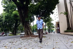 (Ảnh minh họa: Danh Lam/TTXVN) 