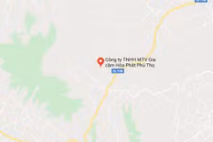 Vị trí Công ty Trách nhiệm hữu hạn Một thành viên gia cầm Hòa Phát Phú Thọ. (Nguồn: Google Maps) 