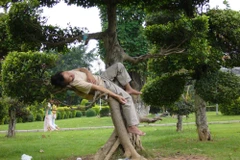 [Photo] Những dáng ngủ cho thấy việc gì cũng có thể xảy ra