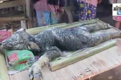 (Nguồn: chinadaily)