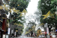 Ảnh minh họa. (Nguồn: TTXVN)