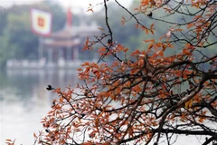 Đền Ngọc Sơn - địa chỉ văn hóa đặc sắc bậc nhất của Hà Nội