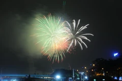 (Ảnh minh họa: Mạnh Linh/TTXVN)