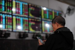 Nhà đầu tư theo dõi tỷ giá chứng khoán tại thành phố Vũ Hán, tỉnh Hồ Bắc, miền trung Trung Quốc ngày 8/1. (Nguồn: AFP/TTXVN)