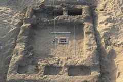 (Nguồn: ibtimes.co.uk)