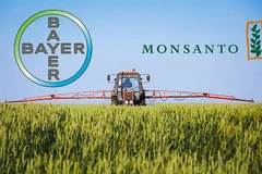 Ảnh minh họa. (Nguồn: bsic.it)