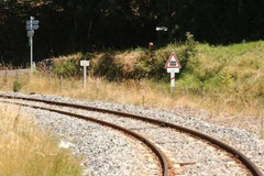 Ảnh minh họa. (Nguồn: larep.fr) 