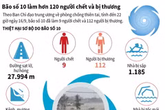 [Infographics] Bão số 10 làm hơn 120 người chết và bị thương