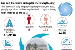[Infographics] Bão số 10 làm hơn 120 người chết và bị thương
