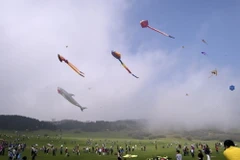 [Photo] Những mẫu diều độc đáo hội tụ tại lễ hội thả diều quốc tế