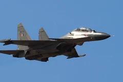 Máy bay Su-30MKI. (Nguồn: sputniknews.com) 