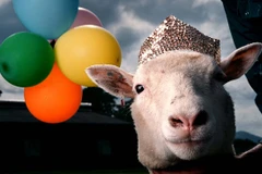 Cừu Dolly. (Nguồn: theguardian.com)