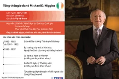 [Infographics] Tổng thống Ireland thăm cấp Nhà nước tới Việt Nam